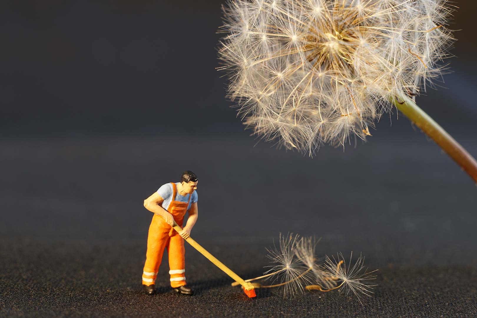 janitorial cleaning services