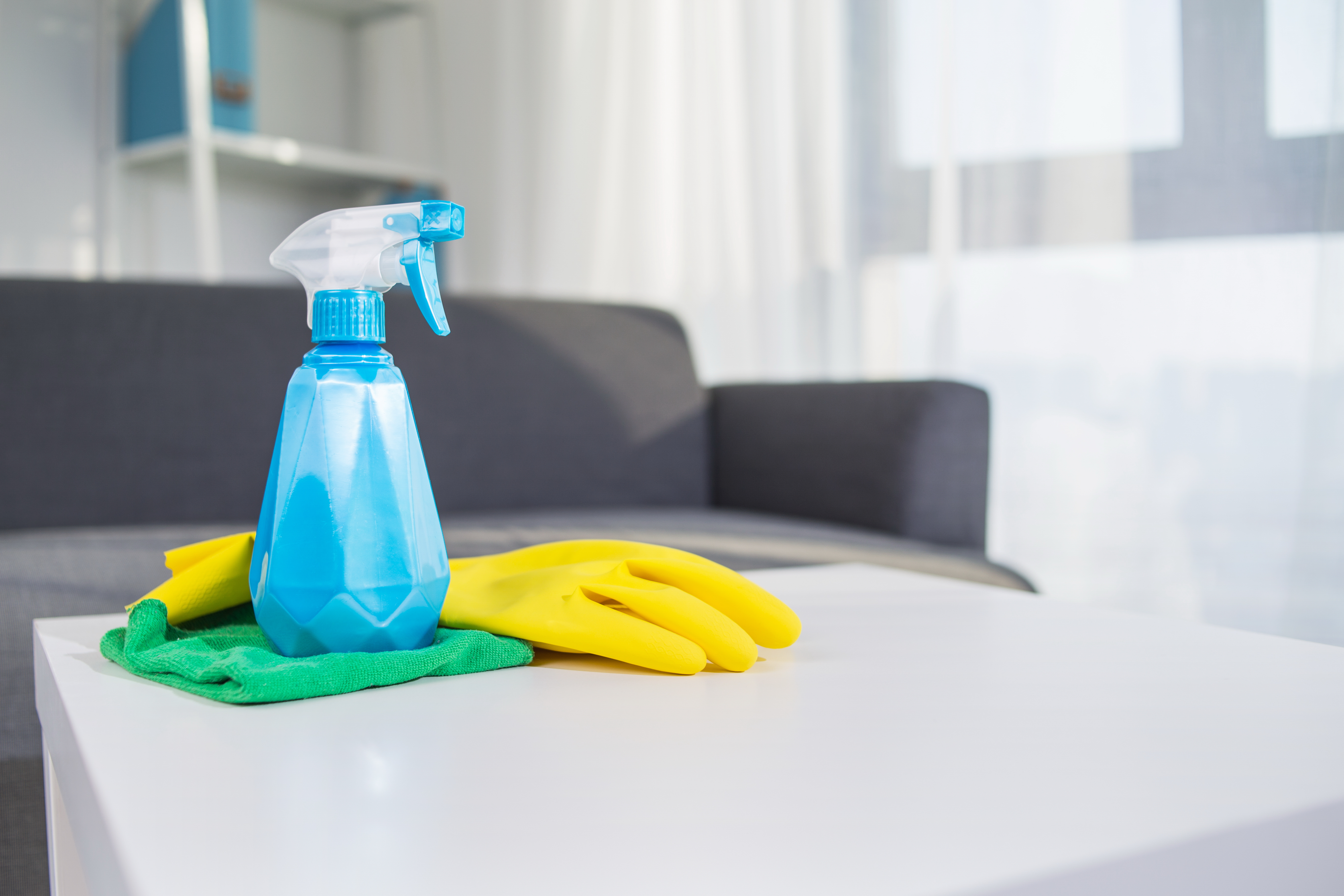 Janitorial Services Near Me