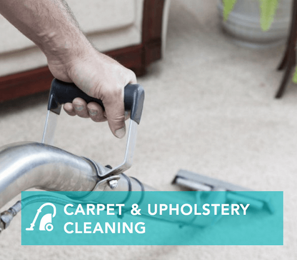 Professional Carpet & Upholstery Steam Cleaning